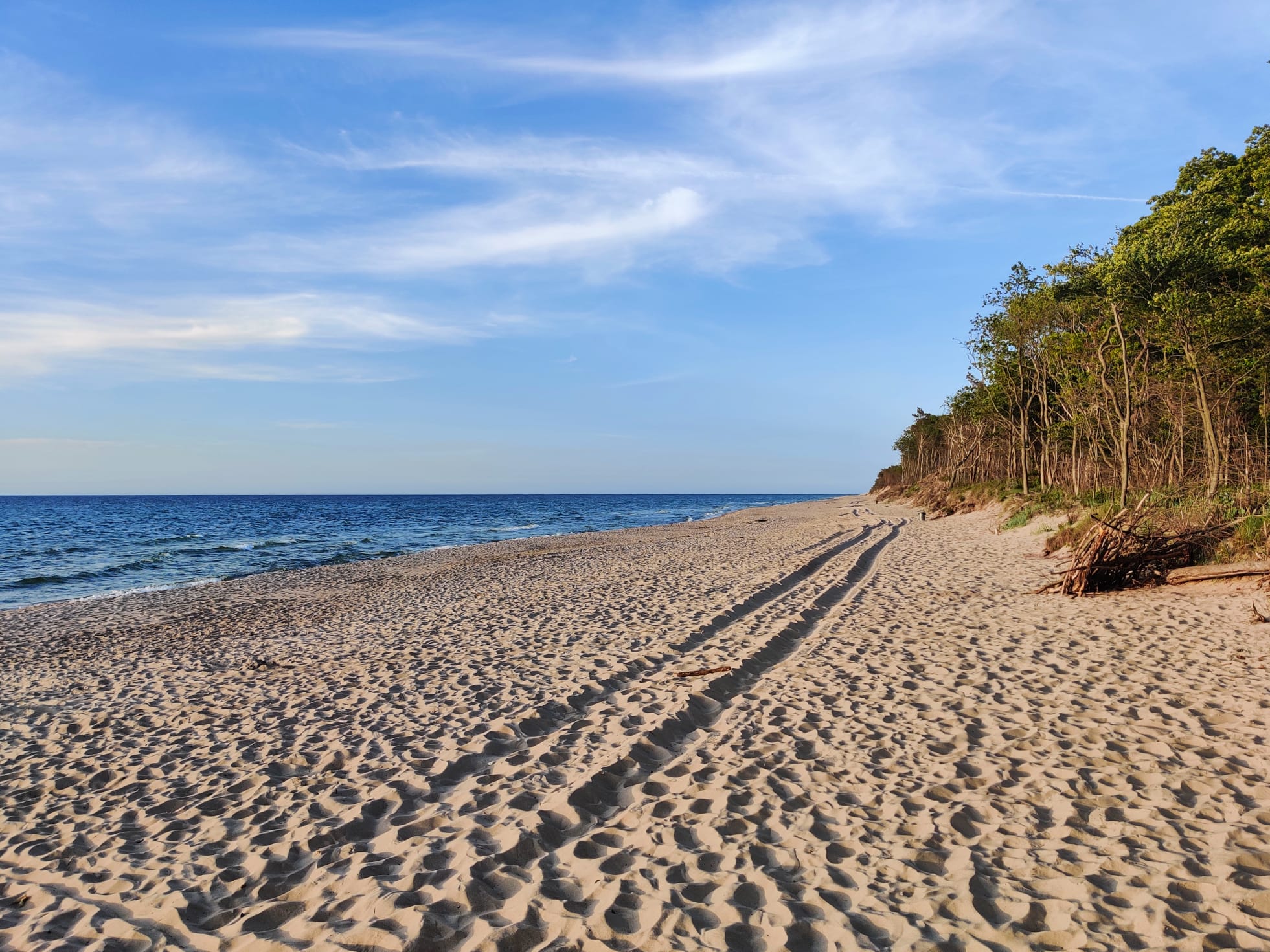 Plaża i wydmy nad Bałtykiem