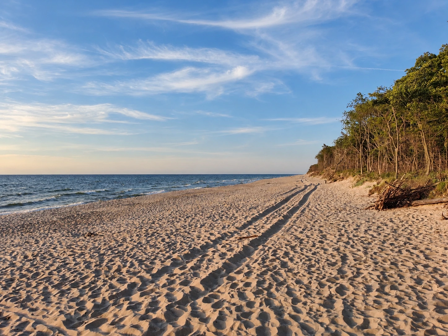 Plaża i wydmy nad Bałtykiem