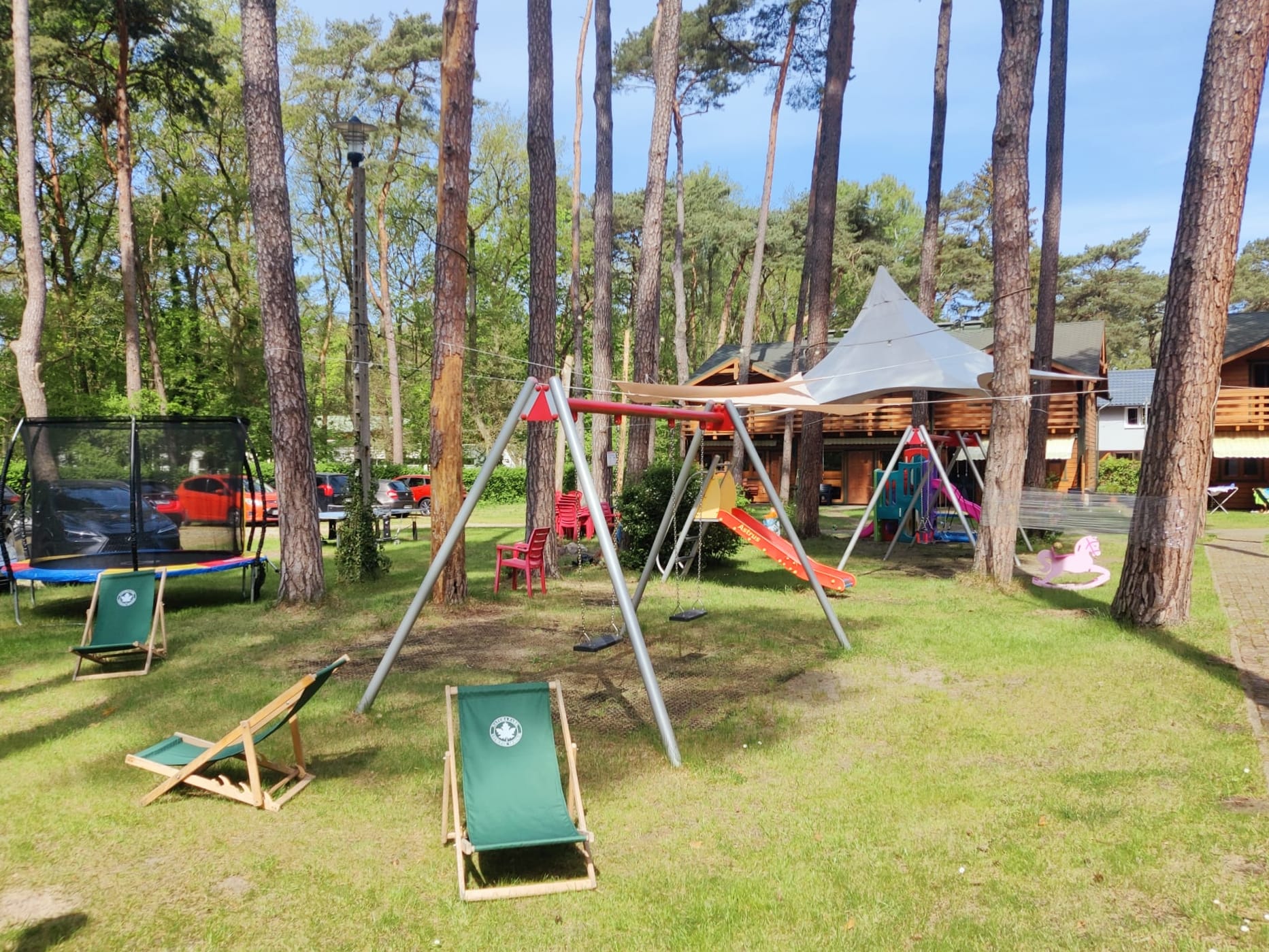 Huśtawki wśród drzew