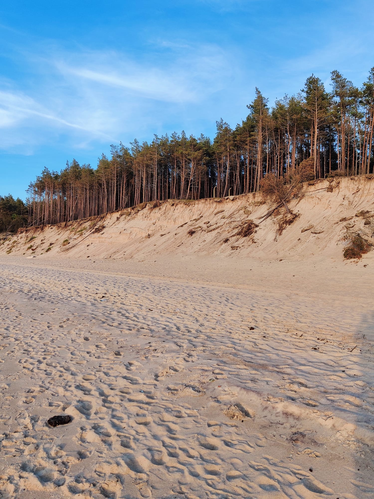 Wydmy i plaża